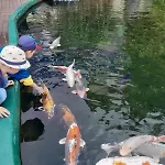 - Tiefgarage Und Parkplatz Inklusive オーバーホーフ