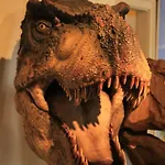 アパート - Tiefgarage Und Parkplatz Inklusive オーバーホーフ