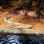 - Tiefgarage Und Parkplatz Inklusive アパート オーバーホーフ