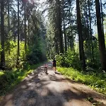 - Tiefgarage Und Parkplatz Inklusive オーバーホーフ