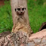 アパート - Tiefgarage Und Parkplatz Inklusive *