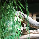 - Tiefgarage Und Parkplatz Inklusive * オーバーホーフ