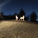 - Tiefgarage Und Parkplatz Inklusive アパート *