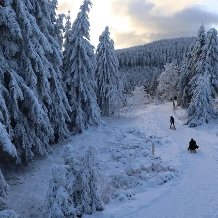 - Tiefgarage Und Parkplatz Inklusive アパート *