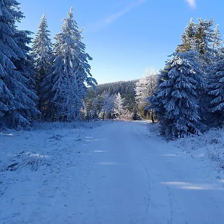 Apartment Oberhof - Tiefgarage Und Parkplatz Inklusive *