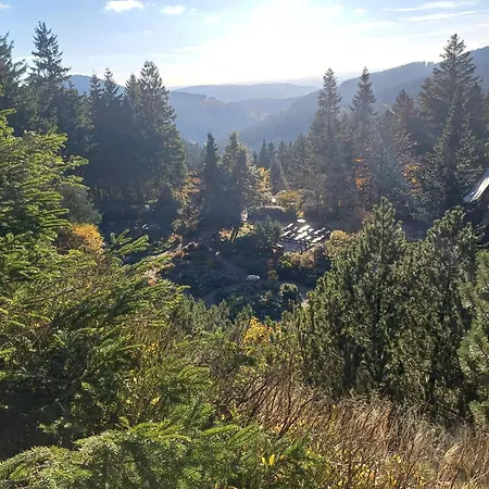 - Tiefgarage Und Parkplatz Inklusive Appartamento Oberhof (Thuringia)