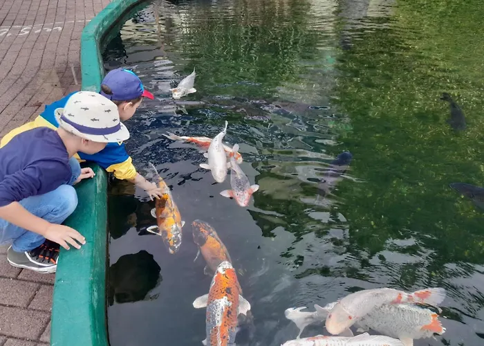 - Tiefgarage Und Parkplatz Inklusive 오버호프