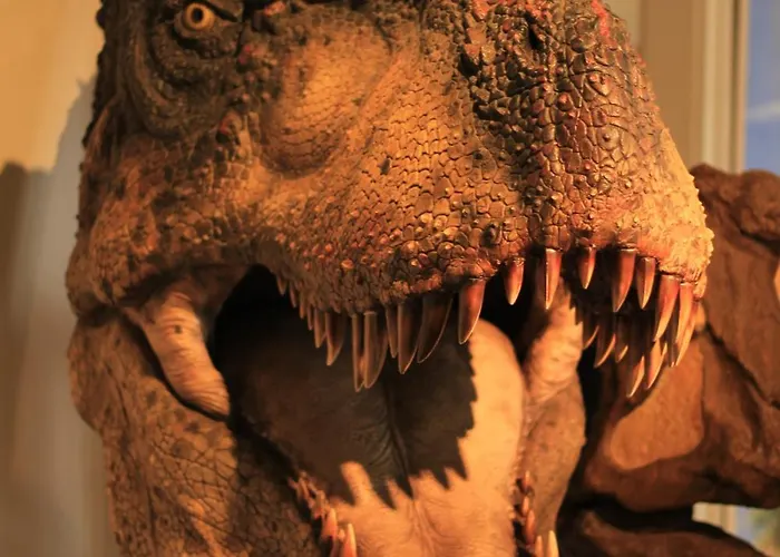 아파트 - Tiefgarage Und Parkplatz Inklusive 오버호프