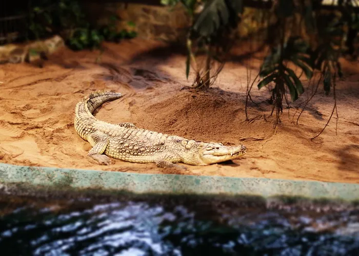 - Tiefgarage Und Parkplatz Inklusive アパート オーバーホーフ