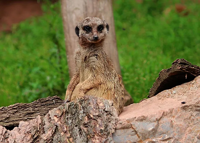 アパート - Tiefgarage Und Parkplatz Inklusive *