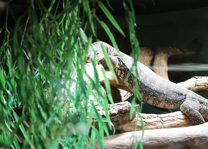 - Tiefgarage Und Parkplatz Inklusive * オーバーホーフ