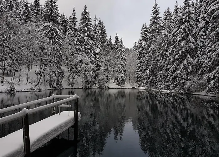 - Tiefgarage Und Parkplatz Inklusive 아파트 *