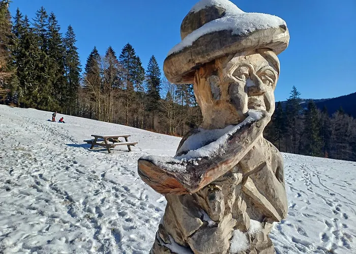 - Tiefgarage Und Parkplatz Inklusive Oberhof (Thuringia)