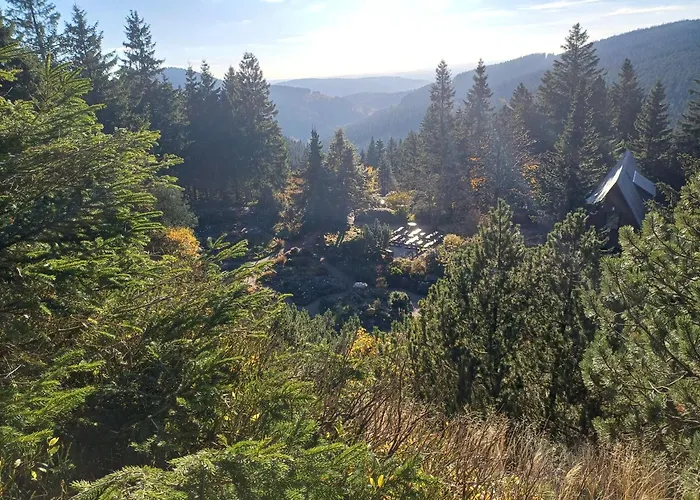 - Tiefgarage Und Parkplatz Inklusive アパート オーバーホーフ