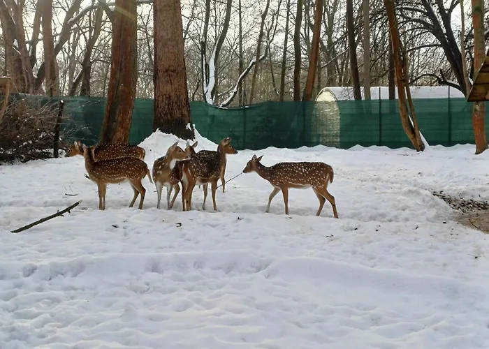 アパート - Tiefgarage Und Parkplatz Inklusive オーバーホーフ